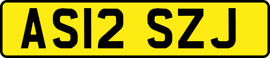 AS12SZJ