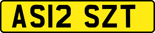 AS12SZT