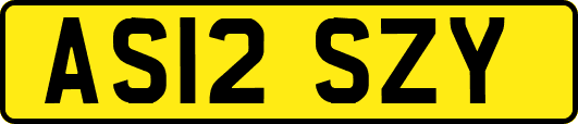 AS12SZY