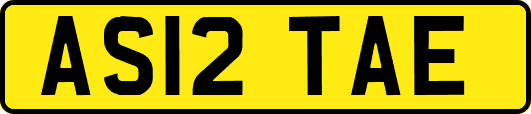 AS12TAE