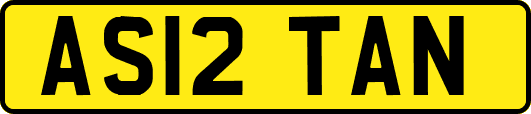 AS12TAN