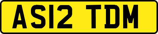 AS12TDM