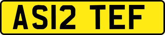 AS12TEF