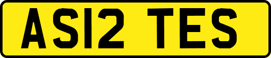 AS12TES