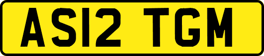 AS12TGM
