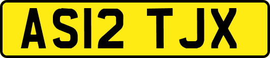 AS12TJX