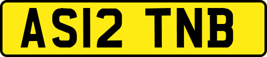 AS12TNB