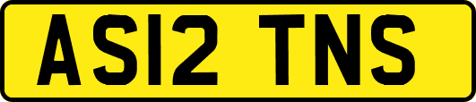 AS12TNS