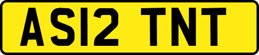 AS12TNT