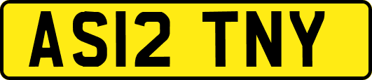 AS12TNY