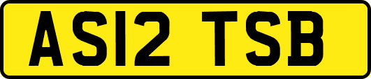 AS12TSB