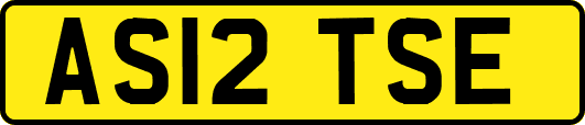 AS12TSE