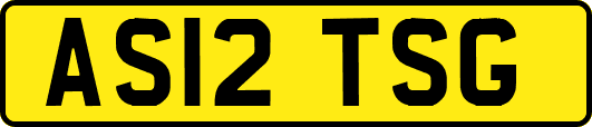 AS12TSG