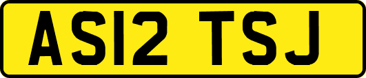 AS12TSJ