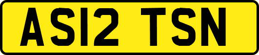 AS12TSN