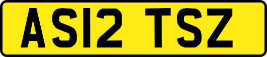 AS12TSZ
