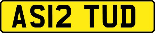 AS12TUD