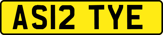 AS12TYE