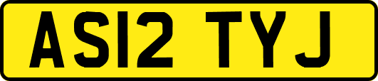 AS12TYJ
