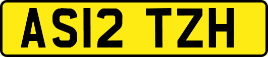 AS12TZH