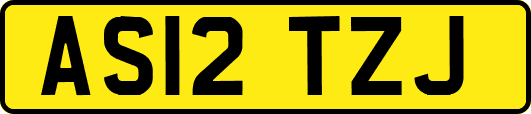AS12TZJ