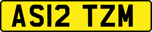 AS12TZM