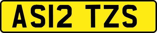 AS12TZS