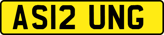 AS12UNG