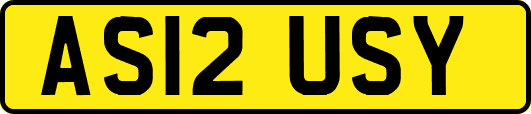 AS12USY