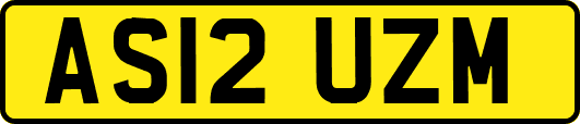AS12UZM