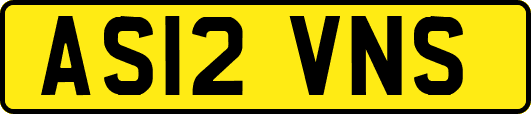 AS12VNS