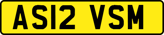 AS12VSM