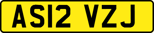 AS12VZJ