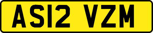 AS12VZM