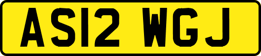 AS12WGJ
