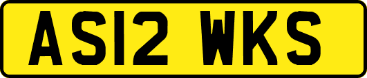 AS12WKS