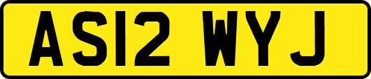 AS12WYJ