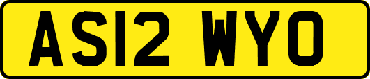 AS12WYO