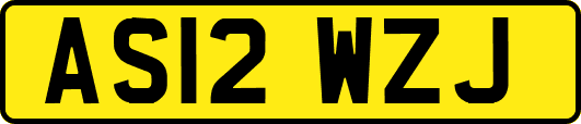 AS12WZJ