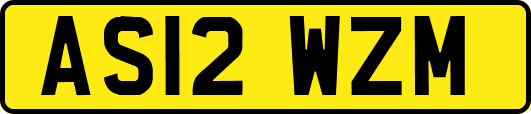 AS12WZM