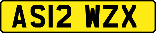 AS12WZX