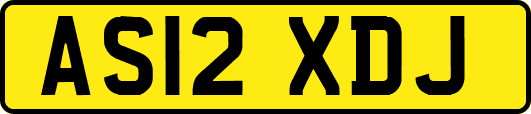 AS12XDJ