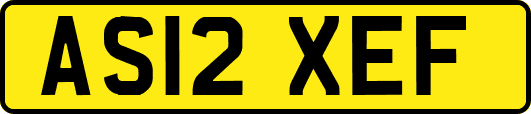 AS12XEF