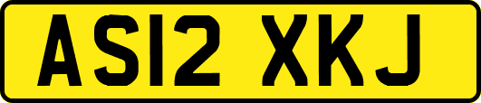 AS12XKJ