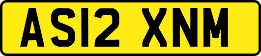 AS12XNM