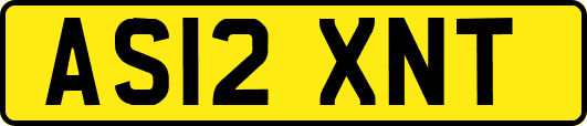 AS12XNT
