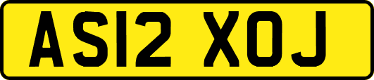 AS12XOJ