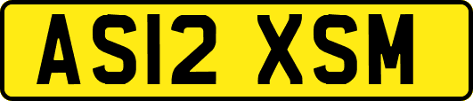 AS12XSM