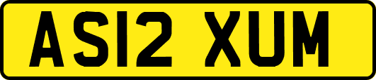 AS12XUM