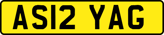 AS12YAG
